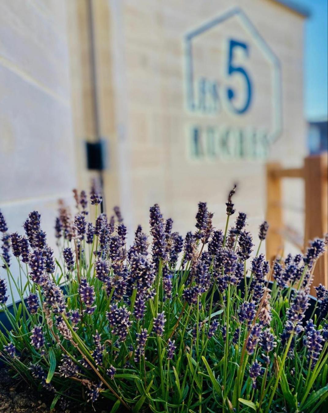 Hotel Restaurant La Pecherie - Le Manoir D'A Cote - Les 5 Ruches -Logis Hotels クルル・シュル・メール エクステリア 写真